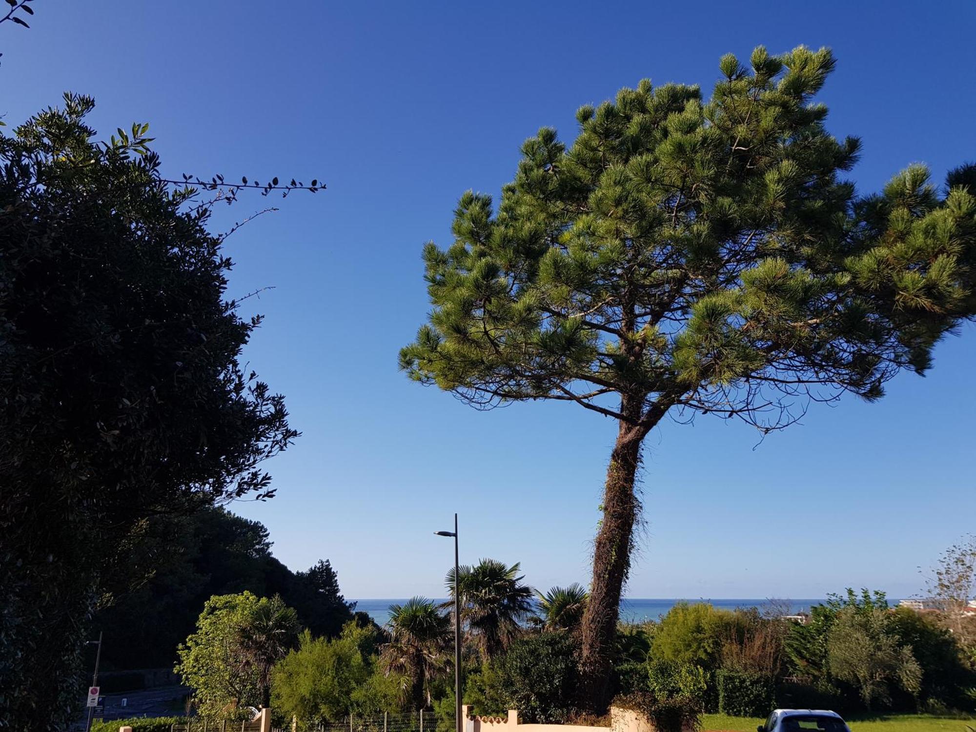 Studio Dans Residence De Standing Avec Parking Et Sa Terrasse Vue Mer Bidart Bagian luar foto